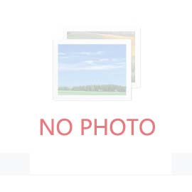 十三五”時期機械工業運行情況綜述